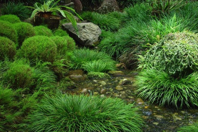 décorer-son-jardin-dreamstimemedium_238536