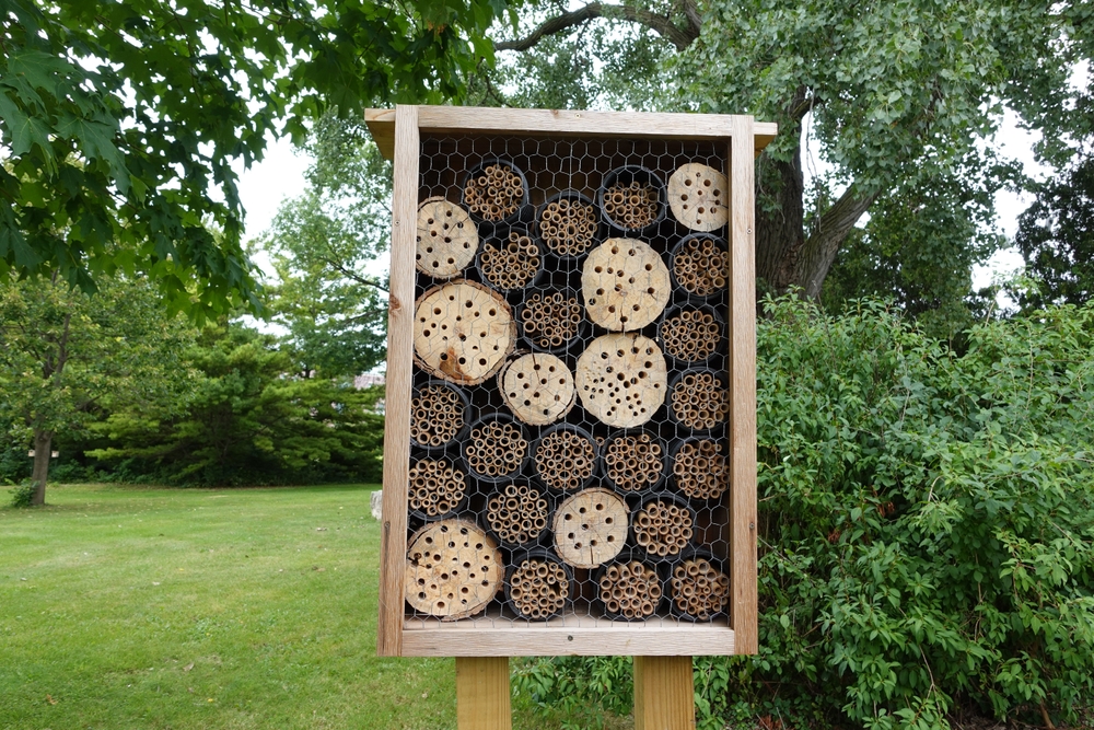 Construire un abri de jardin : plan et astuces de construction