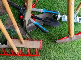 Outils de jardin : les indispensables à avoir